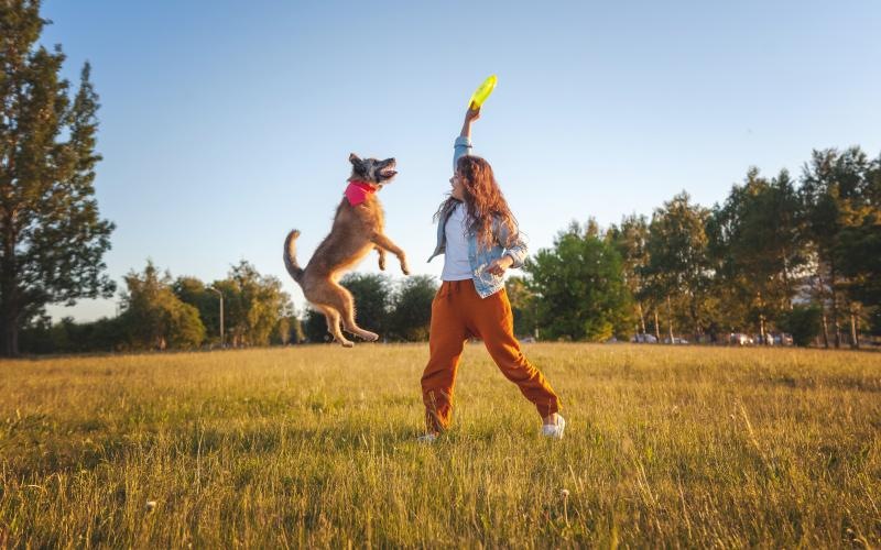 a person playing with a dog