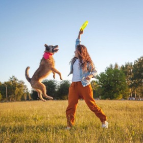 a person playing with a dog